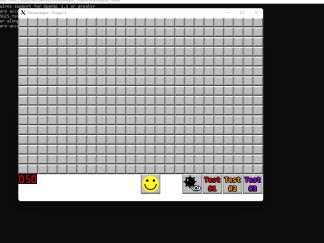minesweeper2